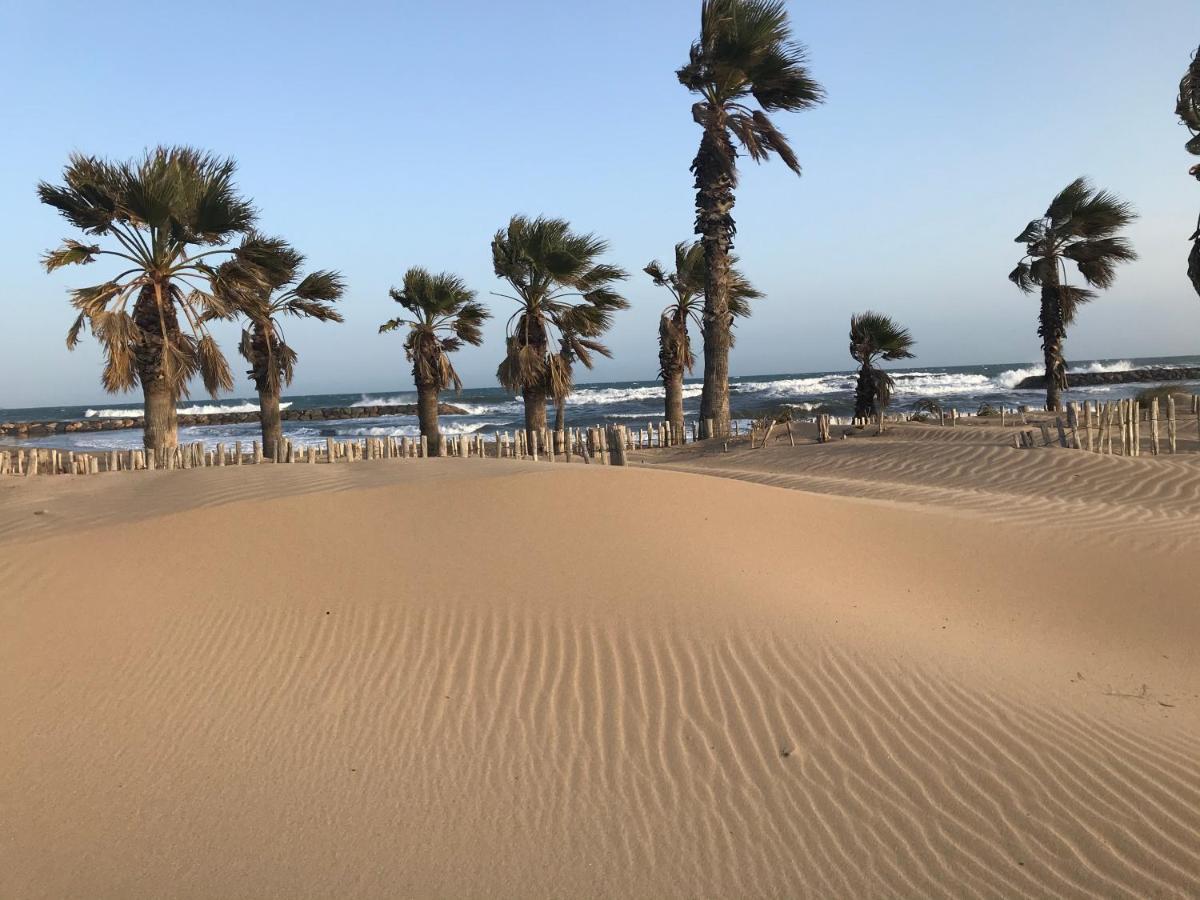 Apartment Newly Renovated Aircond-Wifi-Pool-Sea View-150M To Beaches- Saint Aygulf Exteriér fotografie